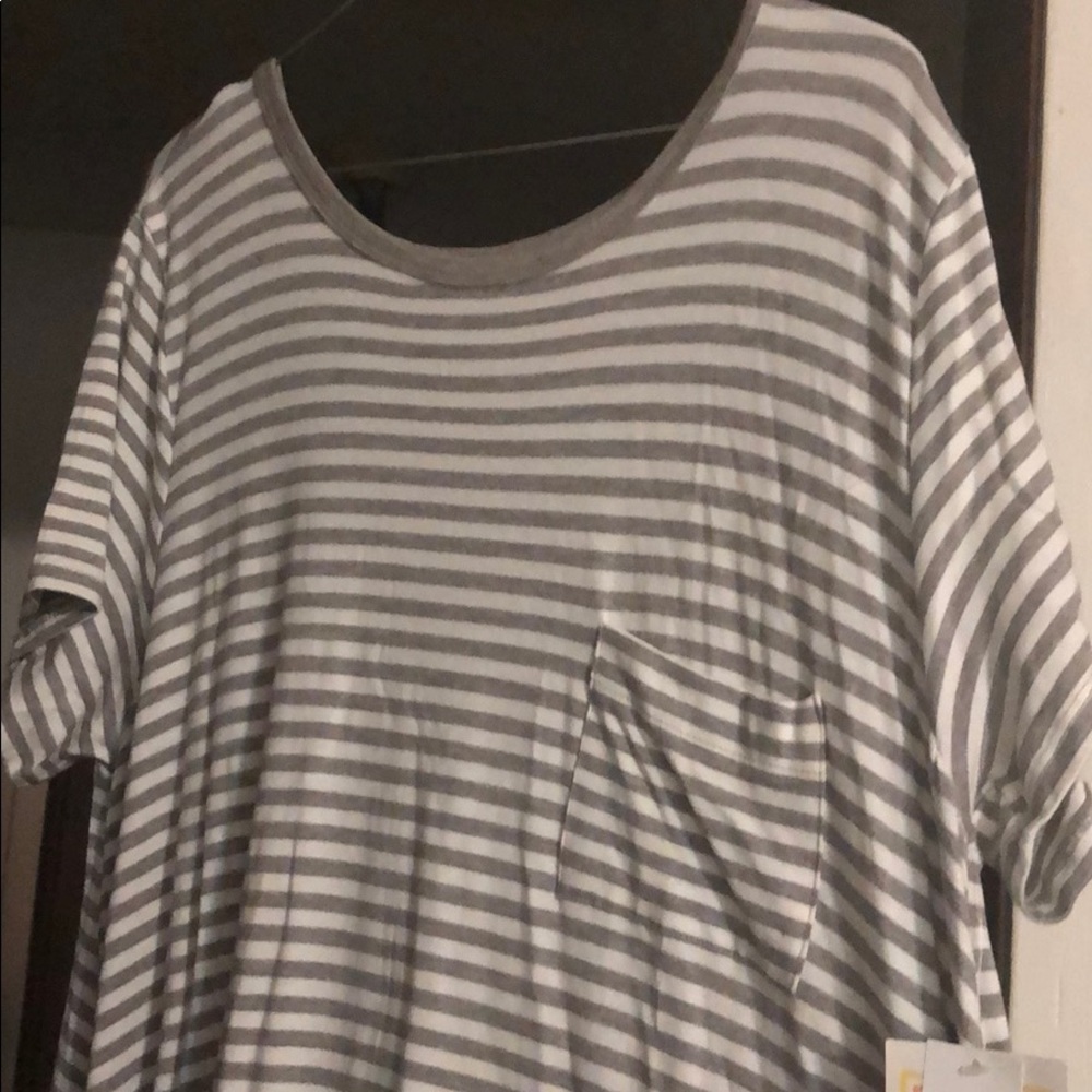 XL Carly